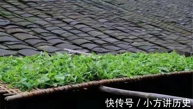 排骨|农村有种野菜,闻着臭吃着香,清热解毒还降火