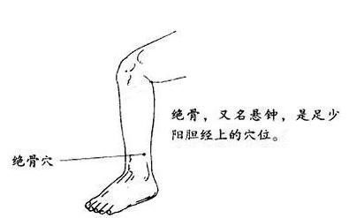 腧穴|脚踝上方一个穴位，强筋健骨止疼痛！不想骨头早早变“脆”？要常按