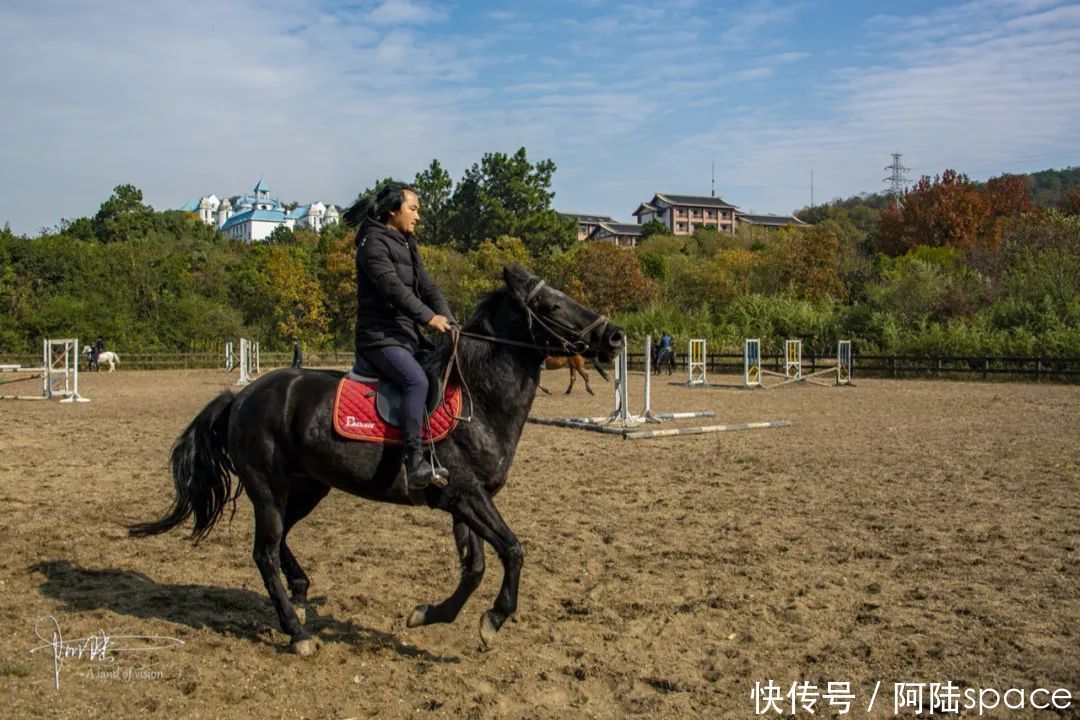  骑马|想体验骑马不一定要去内蒙古，在嘉兴南北湖就可以圆这个梦