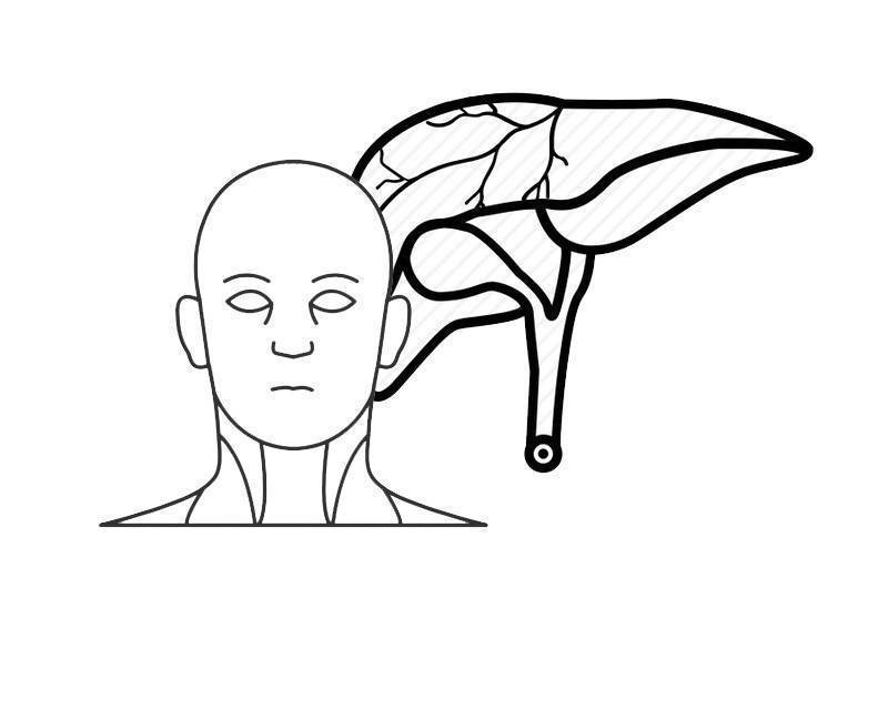 肝脏|肝好不好,看皮肤就知道?皮肤出现4种异常,或是肝癌早期信号