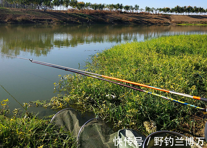 钓鱼不改掉这些“毛病”,很容易招来横祸