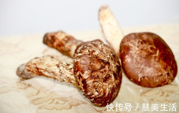 小根|65种野菜图片,带你认识不同的野菜和吃法,你想要的野菜这里都有