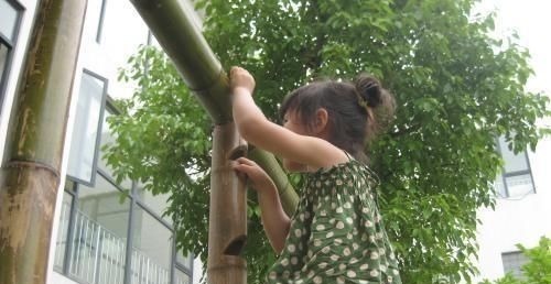 超级奶爸|“超级奶爸”带4胞胎出门,全家都觉得不靠谱,发回照片后笑喷了