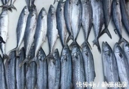 海鲜市场这4种鱼,别看不起眼,都是人工捕捞,无法养殖,放心买