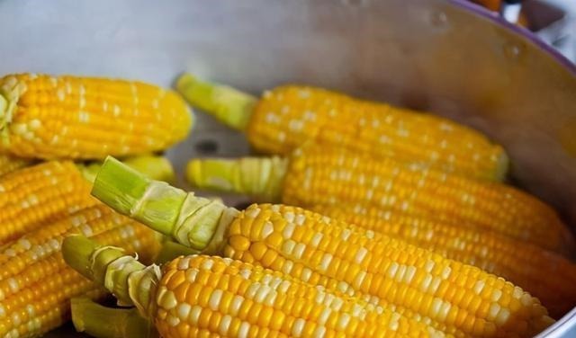 长寿|世界卫生组织批准的“四大长寿食品”，每一种都很常见，人人要吃