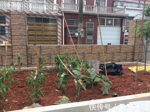 农村|老公坚持回农村自建别墅,花了80万,大家看值吗