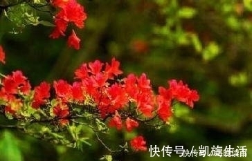 春风|十二首描写风的诗词,古人太有才,如何不开怀