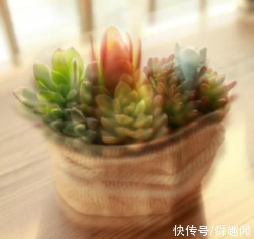 视力|孩子近视怎么办土方法效果甚微,三个妙招帮你恢复眼睛视力