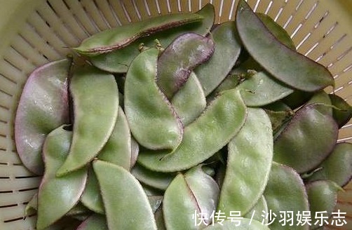 预防肠癌|人到中年,这三种食物离不开,消食开胃,越来越健康