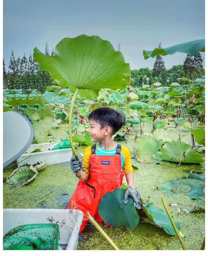 smg|上海主持百克力帶兒子下田挖藕！倆人滿臉淤泥依舊笑意滿滿