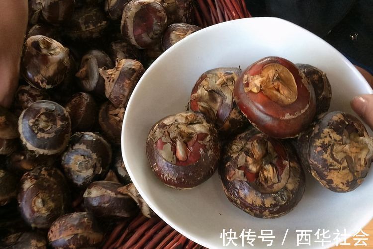 身体|对身体最好的3种食物,营养丰富、延缓衰老,早吃早健康!