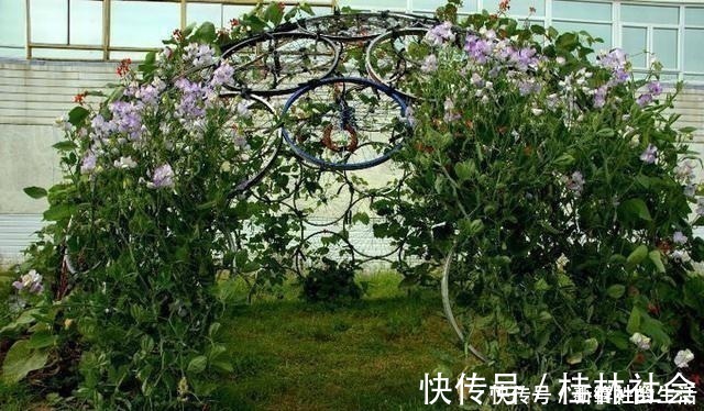 车轮|找到不属违建的阳光房了，用车轮做框架，不用一块玻璃盖成阳光房！