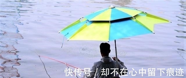 秋天野钓鲤鱼用什么饵料较好?这样搭配饵料,连竿几率更高