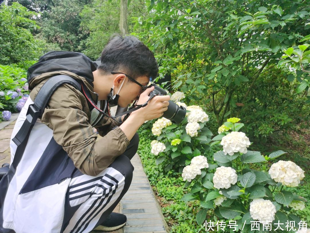 花友会|百颗毳毬谁织就，几枝琼萼露和圆 成都植物园“绣球花花”花友会与园艺爱好者浪漫相约