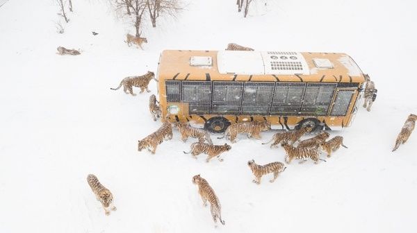 哈尔滨|哈尔滨新区举办冰雪季旅游推介会 冰雪旅游系列活动拉开帷幕