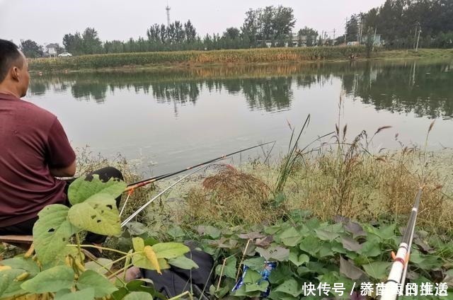 垂钓|十几年的钓鱼经历,认识了4种“另类钓友”,大幅拓宽了垂钓边际