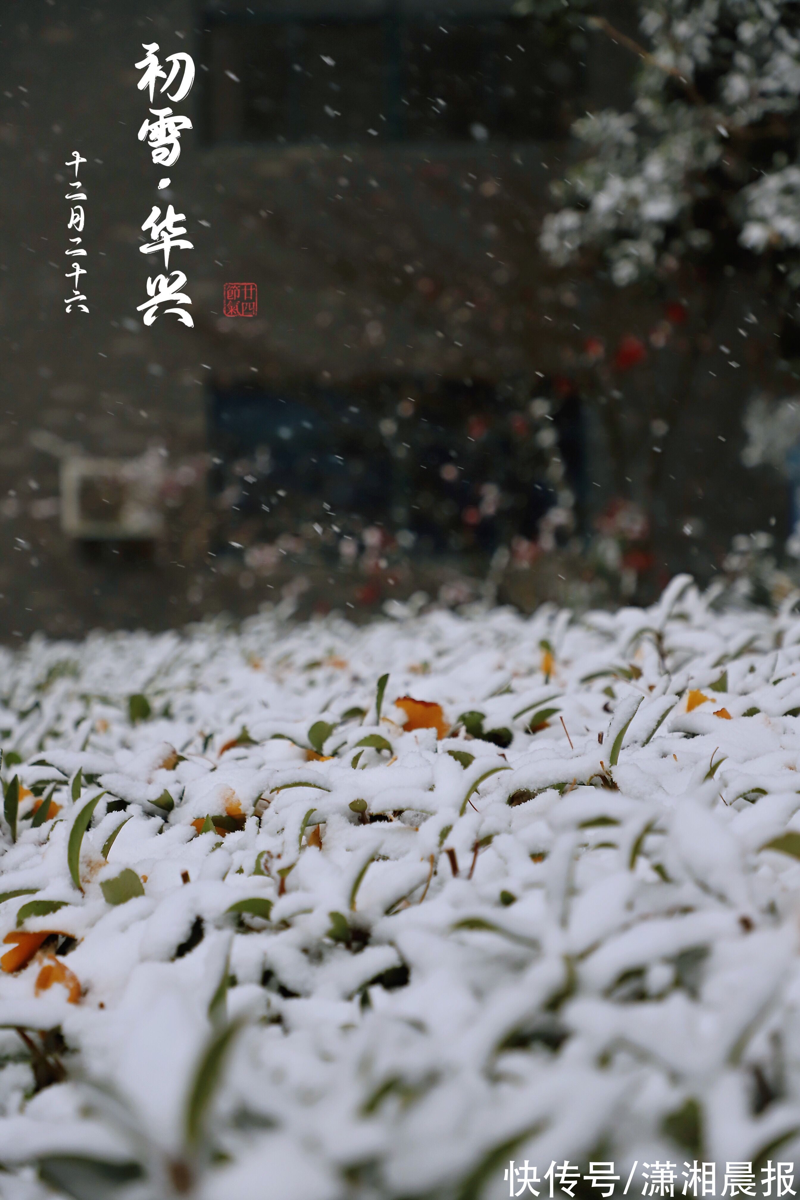 长沙|当118岁美丽校园遇到长沙初雪，随手一拍全是大片