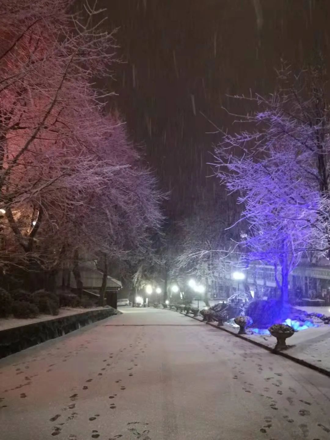 泡脚桶|九江的雪，有这么大！