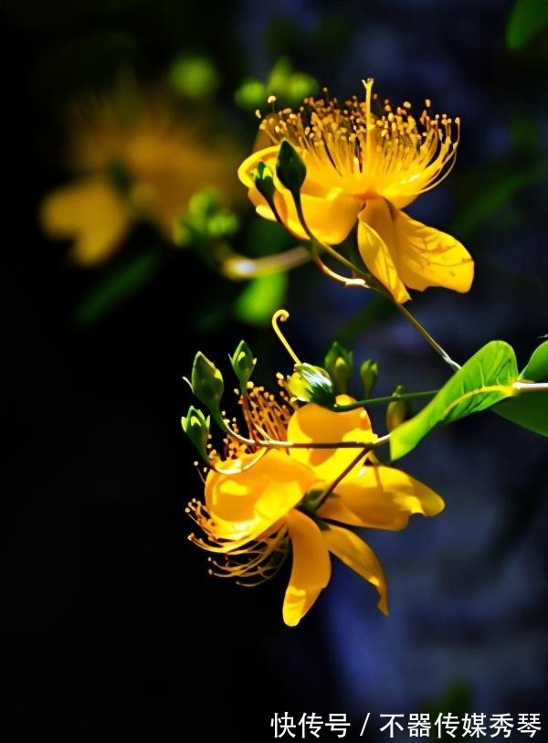 醉象|我不允许还有谁不知道水光唇釉的杀伤力