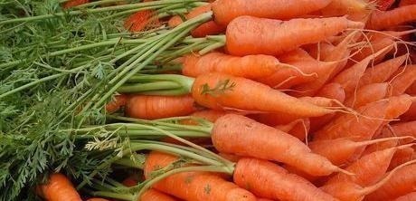 小米|胡萝卜和此物一起煮,大肚腩消失了,失眠好了,为了健康了解下