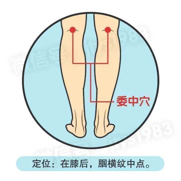 穴位|夏季，常按这3个穴位，可以很快赶跑湿气，你知道是哪里吗