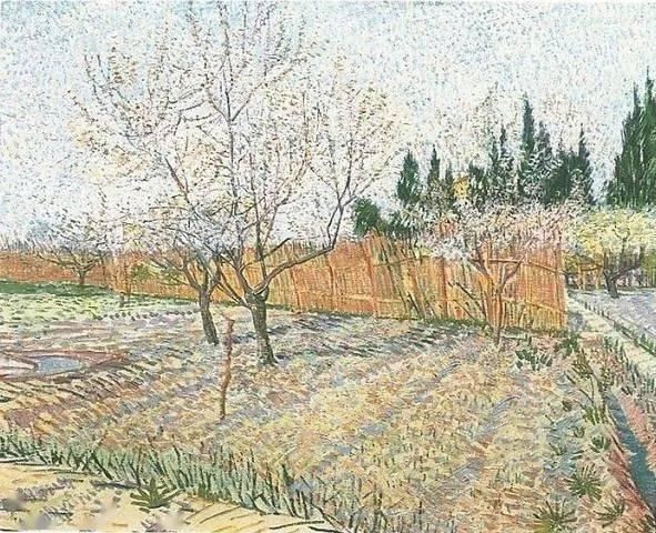 孤独|梵高:没人懂我的孤独