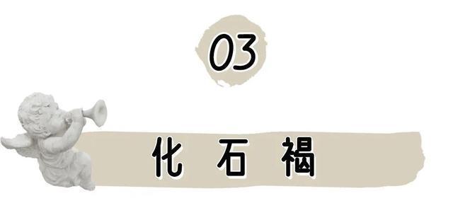 显白|2020秋冬5大流行色来了!第3个超级显白