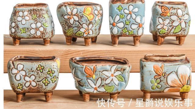 花草|6种花盆,不适合养花,难怪长势不好,扔了吧