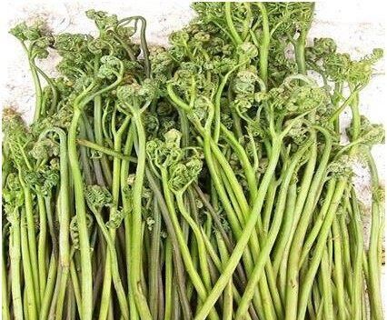 农村这3种常见野菜，营养丰富堪比营养品，还能清热解毒