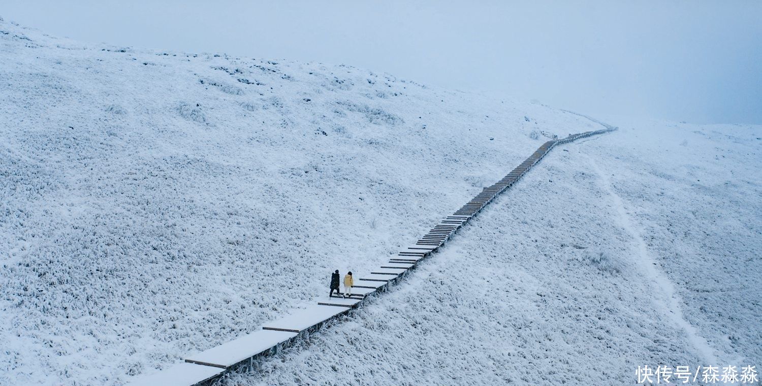 山下|十里风雪天涯路，秦岭雪乡留下吧，紫柏山下是我家