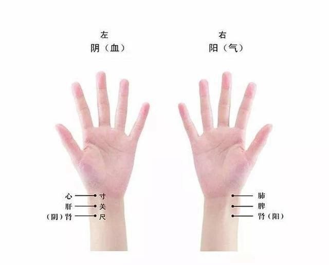 为什么中医摸脉就知道病人得了什么病说说