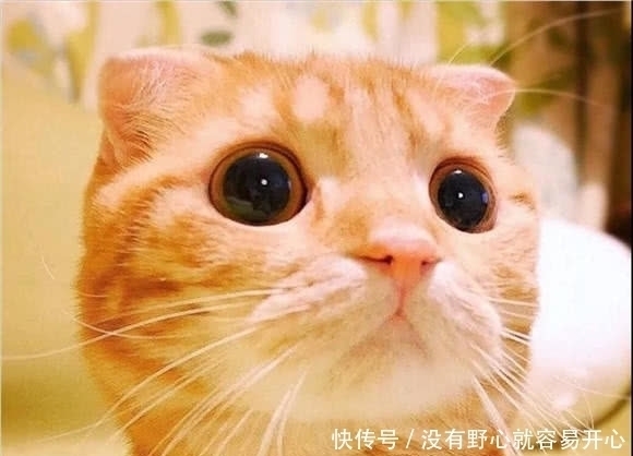 情侣|最近火了一组“不像情侣”情头,看到最后一组,甜到要得糖尿病!