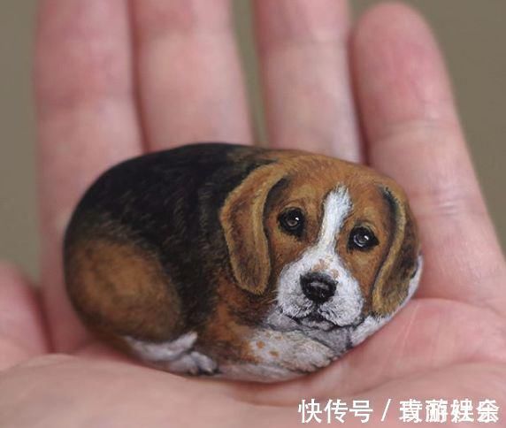 小姐姐$在石头上画画!日本小姐姐笔下的萌宠,惹9万网友围观:也想要一个