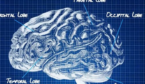 大排档|大排档一老板血脂6.8，半夜脑梗进医院，医生叹息：全是“2素”惹的祸