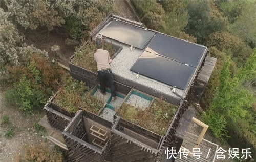 小菜园|他用40棵松树,在荒山野林建起小屋,屋顶种菜生活自给自足
