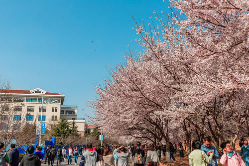 大学排名|中国海洋大学：提醒广大年轻人，失意者才会纠结大学排名