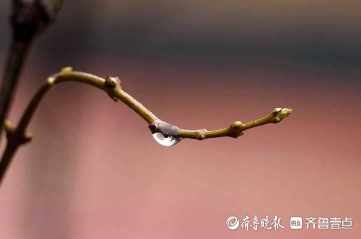 好雨知时节，济南雨雾朦胧，美如江南