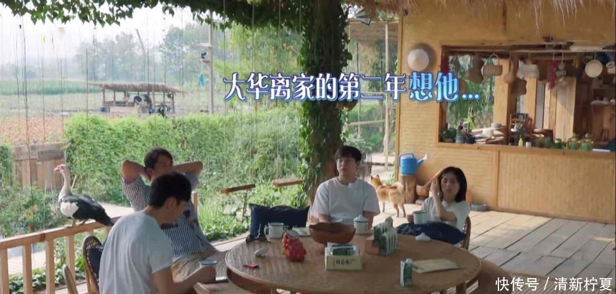 《向往的生活5》开始录制,新一季的蘑菇屋,还会和第四季一样吗