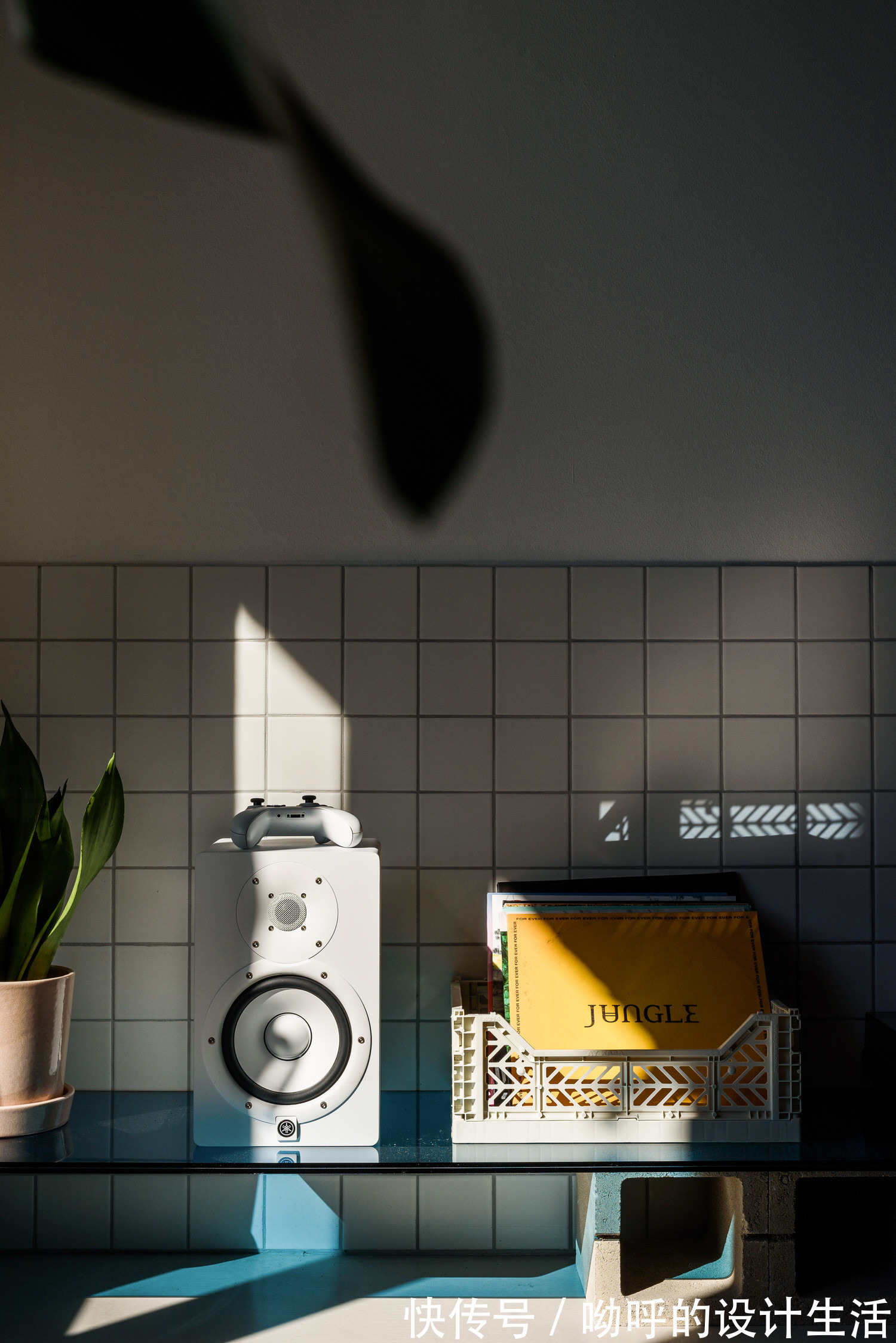 大胆的极简主义:Alan Prekop两室公寓