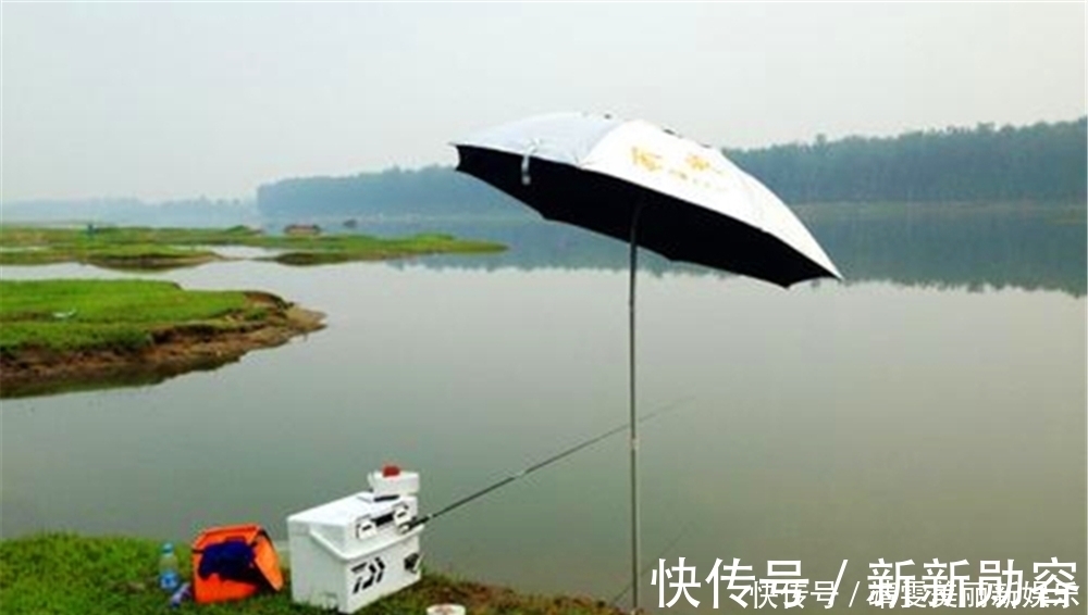 淡季|夏季高温鱼情差,遵循这些基本套路,钓鱼淡季,渔获不淡!