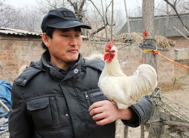 朱之文年入千萬(wàn)，為何還在農(nóng)村種地？網(wǎng)友：唯一把明星當(dāng)副業(yè)的人