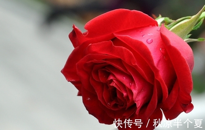 贵人|10月份,好运降临,贵人相助,事业蒸蒸日上,财运亨通