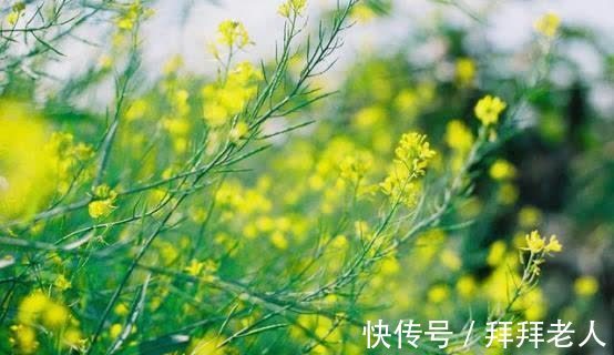 幸福|6天后，花开成海，思念成灾，心有所属，痴心不变，余生都是幸福