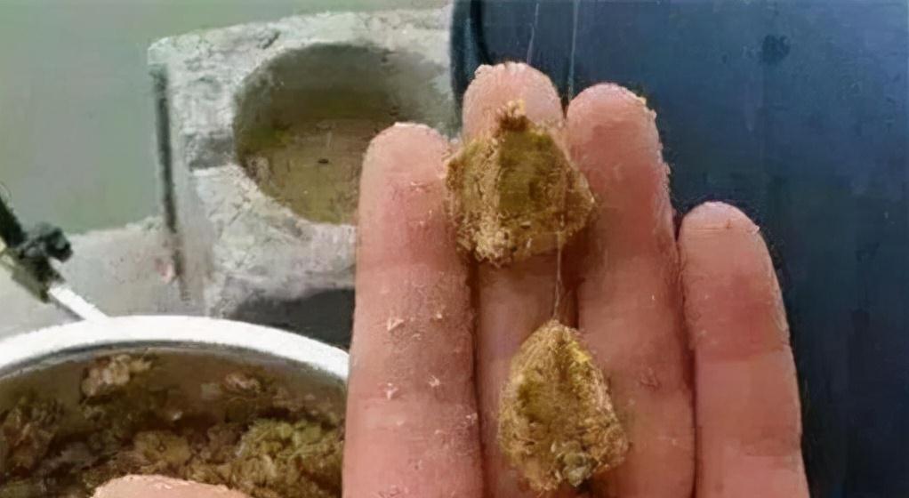 速攻这么用，钓鱼小白离升级老鸟也就不远了