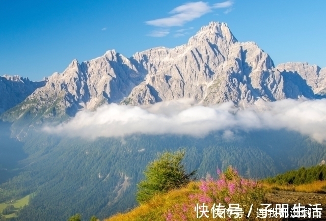 处女座|表面不争不抢的星座,总在背后默默努力付出,生活注定不平凡