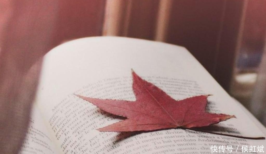 散文集!贾平凹:一个人越过越好,其实是懂得了两个字,受益无穷