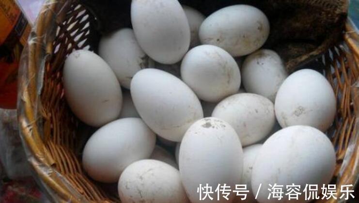 好处|孕晚期吃鹅蛋,好处并不是“去胎毒”,孕妇早知道早受益