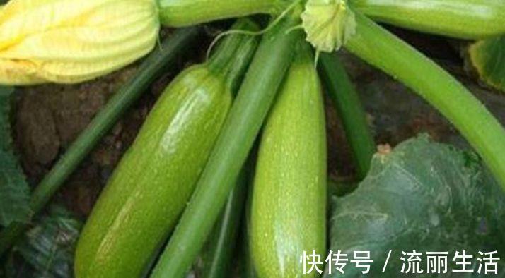 梨子梨|女性不想老太快，常吃3种此果，补分润肤，脸色越来越红润！