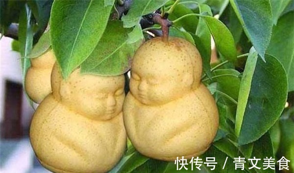 美味|女性不想显老,三种食物不可缺,营养又美味,补充胶原蛋白