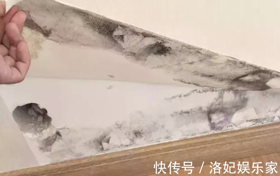 開發商|我扛過了買房的苦,卻因為裝修崩潰了……